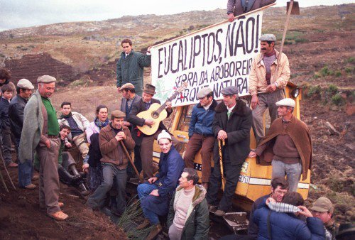 1989 - Acções mediáticas no âmbito da campanha contra a expansão da plantação de eucaliptos - Serra da Aboboreira, Valpaços, Mirandela e Mértola. © QUERCUS
